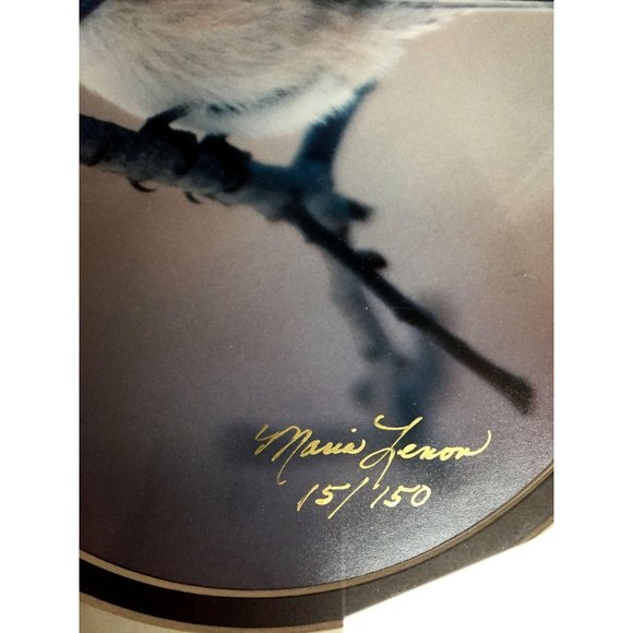 Black Capped Chicadee Photograph Framed Signed Numbered Bird Maria Lenon Art - Picture 5 of 9